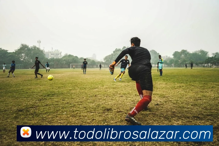 奖项证书